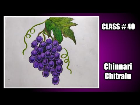Step by Step Drawing || Fruits ||How to draw Grapes