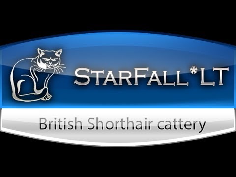 Undercover / Expertise / Vilnius, Lithuania / 2014.04.06