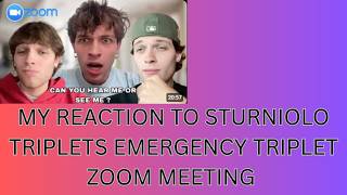 My Reaction to Sturniolo Triplets emergency triplet zoom meeting video