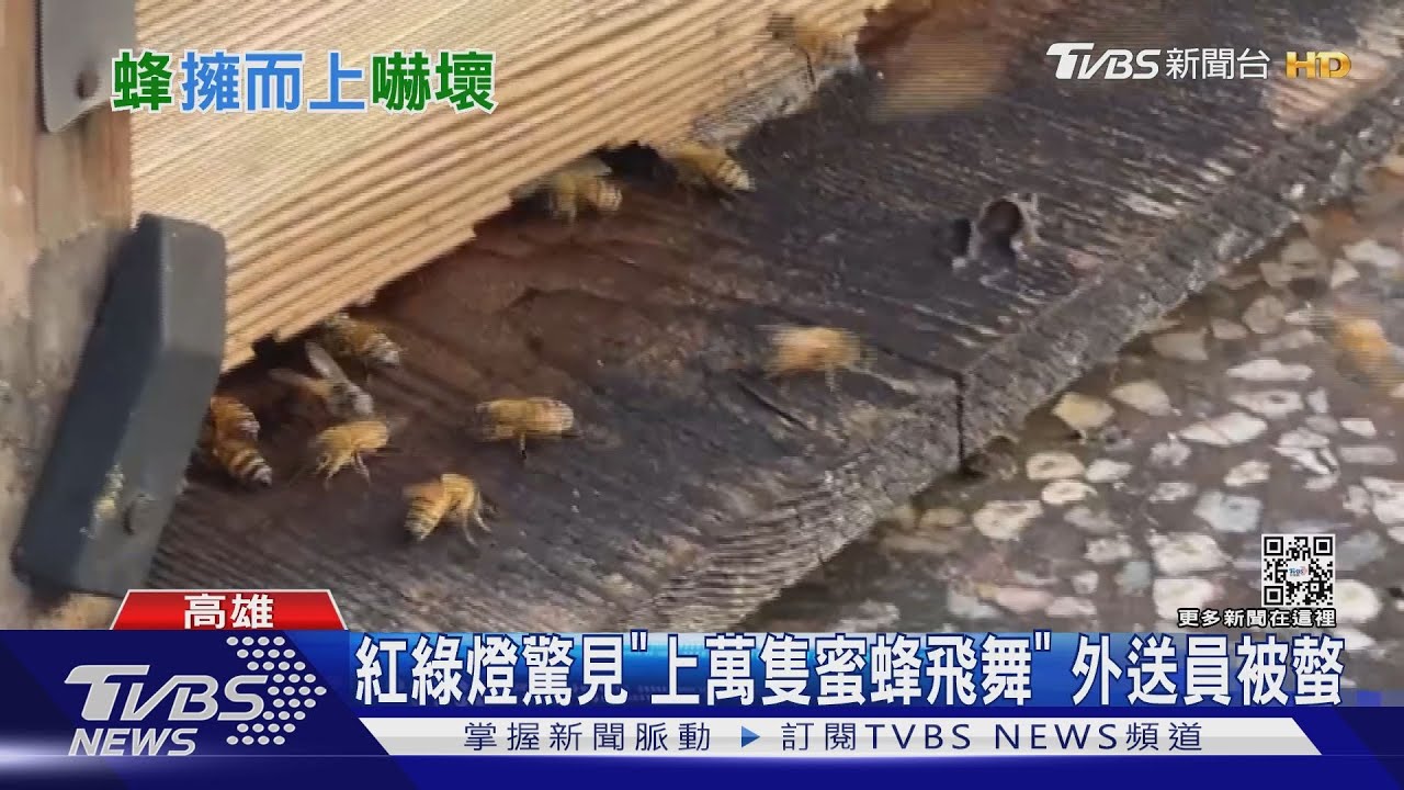 嗡嗡嗡!紅綠燈驚見「上萬隻蜜蜂飛舞」 外送員手腕被螫