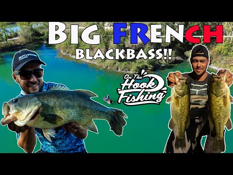 BIG French Black Bass!