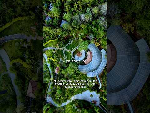 Hortus Malabaricus episode 001 Thengu