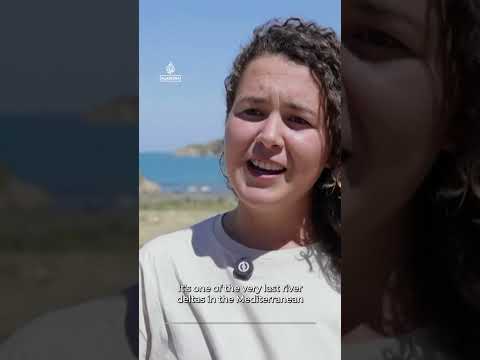 Protests grow in Albania against Trump-Kushner-linked resort