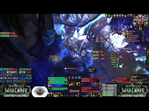 Throne of Thunder: Tortos 25H