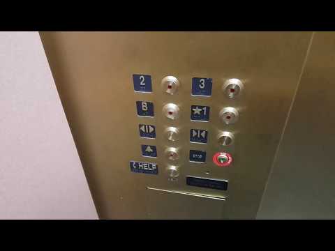 Delaware Traction Elevator @ Scott Hall - U of M - Minneapolis, MN