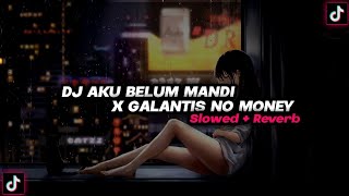 Download lagu DJ AKU BELUM MANDI X GALANTIS NO MONEY by Ucil Fvnky || Slowed   Reverb🎶 mp3