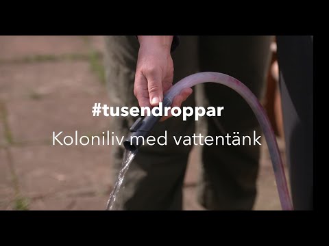 Koloniliv med vattentänk