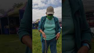 Bradshaw Dog Show