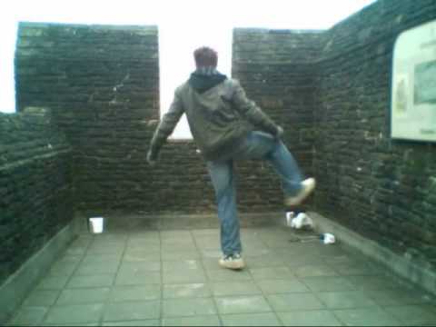 Re-Flex |*| 2008, What A Year It's Been