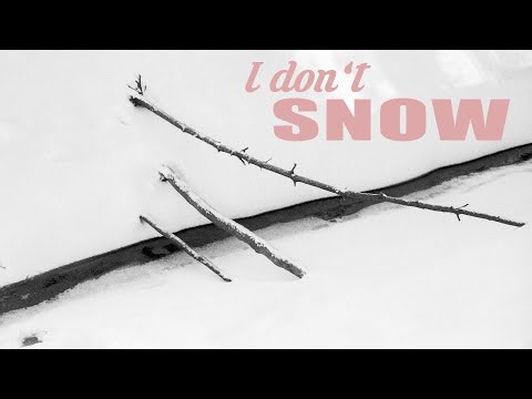 SHOOTING FILM IN THE SNOW(STORM) | Nikon F3 + Yashica T4