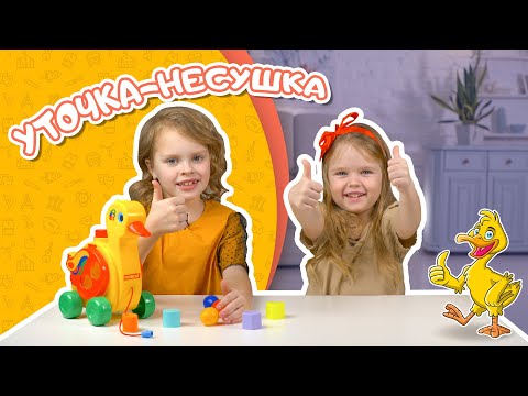 Миниатюра изображения товара Сортер Полесье Уточка-несушка / 6219 (в сеточке)