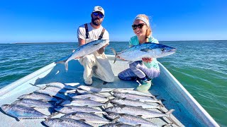 How to FILL the Boat with 1,000 FISH! (Catch, Clean & Cook) Commercial Mackerel Fishing