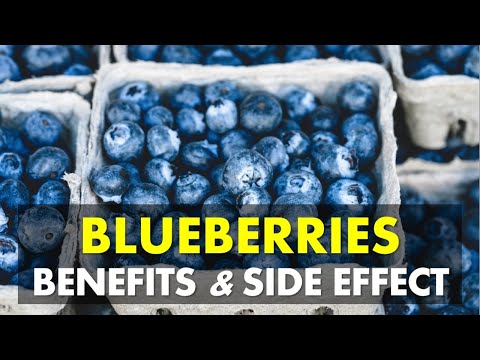 , title : 'Blueberries Benefits and Side Effects | Benefits of Eating Blueberry Everyday'