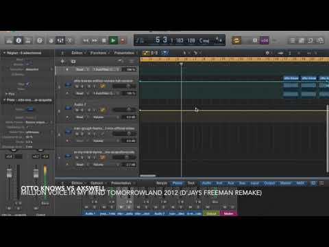Million voice in my mind - Otto knows vs axwell Tomorrowland 2012 (D'jays Freeman remake)