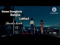 Gwsw Dongbwla Bungna Lakha3 || New Bodo Song || Slowed x Reverb || @BodoOnly