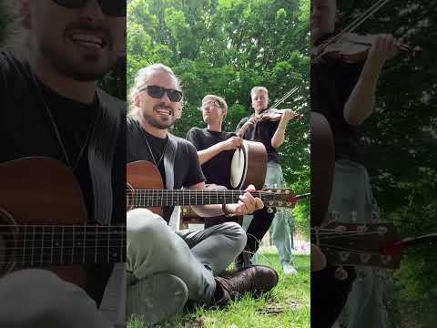 Ordinary man, by Christy Moore  🎶✨ 🌿