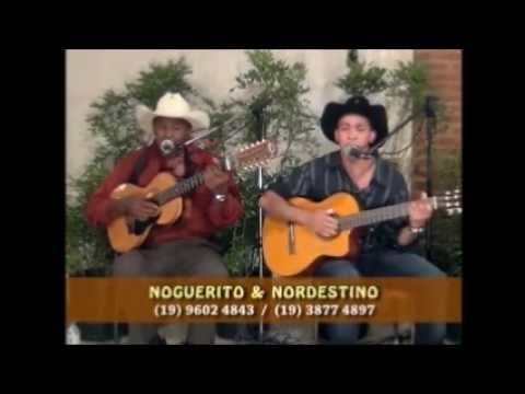 NOGUERITO E NORDESTINO - PROSA CAFE E VIOLA - O DOUTOR DA LIXEIRA.wmv