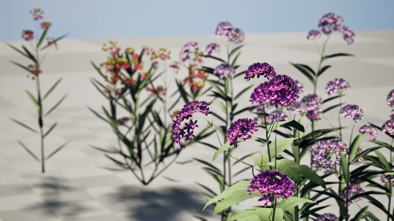 North American Milkweed Collection V03 3D Model