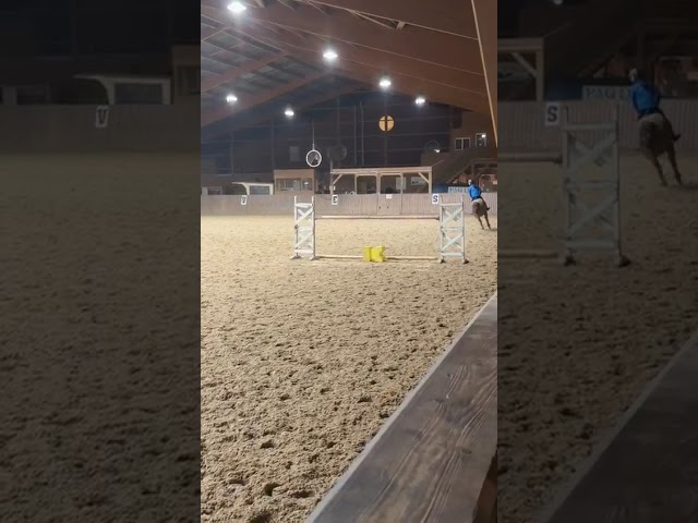 Hongre CSO  pour amateur 1 / Elite