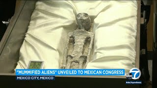 [爆卦] 墨西哥國會公開外星人屍體