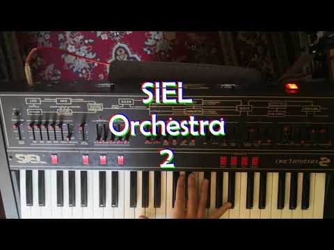 Siel Orchestra 2/Sequential Prelude + wooden sides + flight case 1983 (SERVICED) Rare image 21