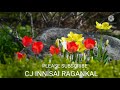 PEN MAANE SANGEETHAM PADA VAA SONG