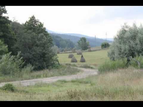 Frumoasa-Bacau-Asezare