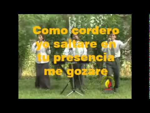 Cordero video