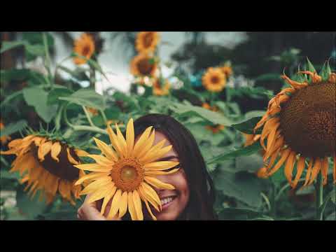 Summer Never Ends 092 Progressive House Mix The Classy choons are here Edition