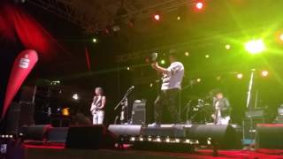Dave Hill - Slade - Lock up your Daughters - Guitar Solo 09.07.2016 Frankfurt/O.