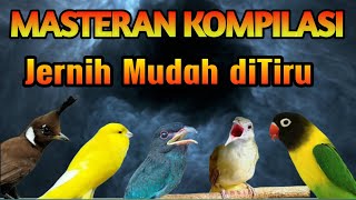 Download lagu MASTERAN MURAI FULL ISIAN BAGUS MUDAH DITIRU MURAI BAHAN PASTOL TROTOL CEPAT MASUK mp3 Download lagu MASTERAN MURAI FULL ISIAN BAGUS MUDAH DITIRU MURAI BAHAN PASTOL TROTOL CEPAT MASUK mp3