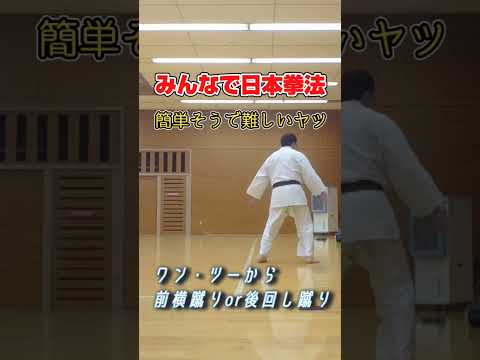 #日本拳法 #martialarts #武道 #武術 #格闘技 #コンビネーション