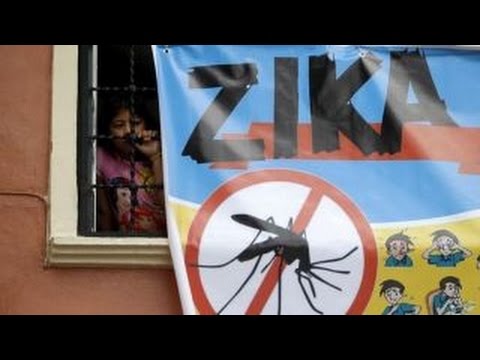 Researchers: Zika virus may increase risk of mental illness