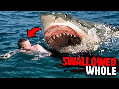 The TERRIFYING Last Minutes of Robert Pamperin