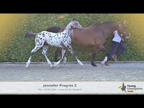 Jennefer progres z
