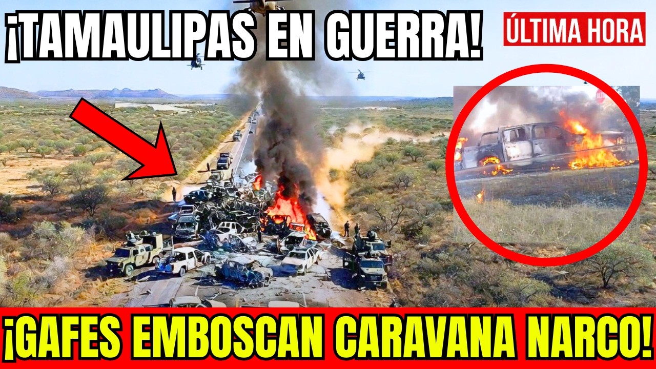 YouTube Thumbnail Downloader FULL HQ IMAGE