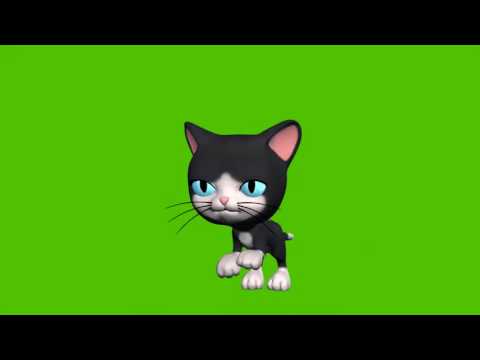 ФУТАЖ КОТИКИ СКАЧАТЬ БЕСПЛАТНО ФУТАЖ КОТИКИ СКАЧАТЬ БЕСПЛАТНО