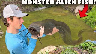 I Found a MONSTER Alien Fish!