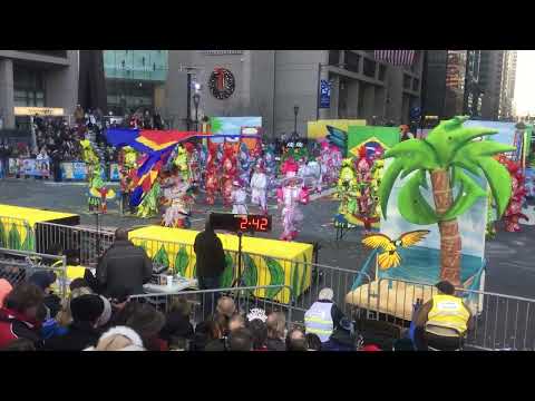 SIDE VIEW: Woodland String Band "Carnival: Primeiro De Janeiro" 2017