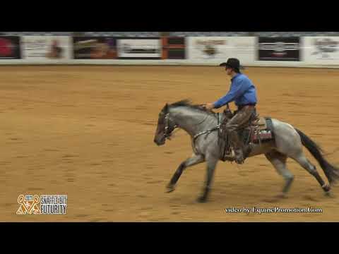 Plain Catty ridden by Jake D. Gorrell  - 2017 Snaffle Bit Futurity (Rein Work, IO/LO FINALS)