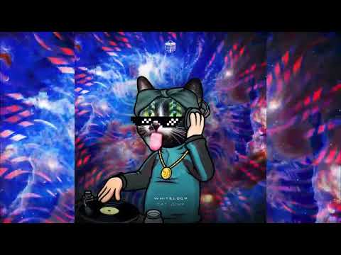 Whiteloop - Cat Jump (Original Mix) - Trancedencya Records