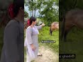 Kalol Ho Gyi Kamalkaur Horseriding Funnygirl Comedyvideos Funnyvideo