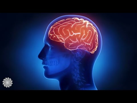 Transient Disorder & X-Side - What Are Psychedelics [Psychedelic Visuals]