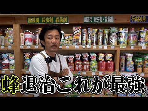 園芸 蜂が群がる