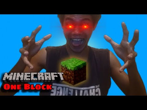 Insane One Block Minecraft Challenge!