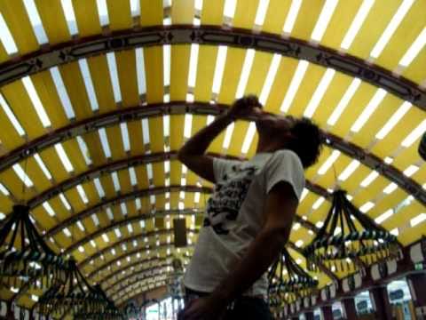 il gatto si alza e mangia il salame...poi si alza e......:) oktober fest 010