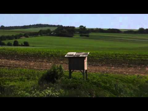 Situl arheologic de la Homiceni, punct „Dealul Davidului”