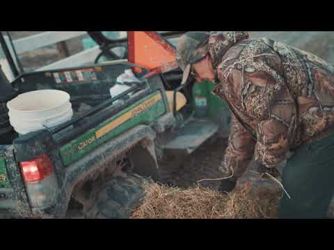 Hear from one of our small business owners who went solar for his farm and business: