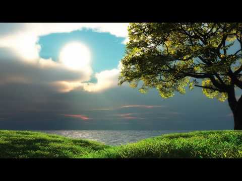 Ronny K - Morning Light (Intro Mix)