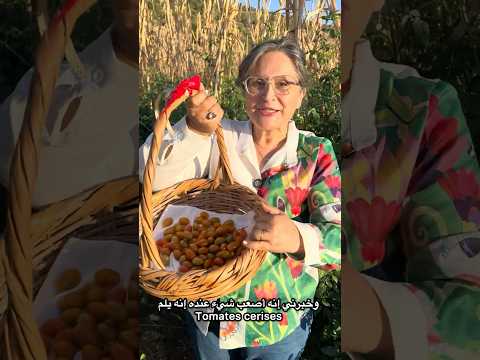 recent video 2
